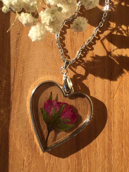 Collier coeur en résine contenant une véritable rose