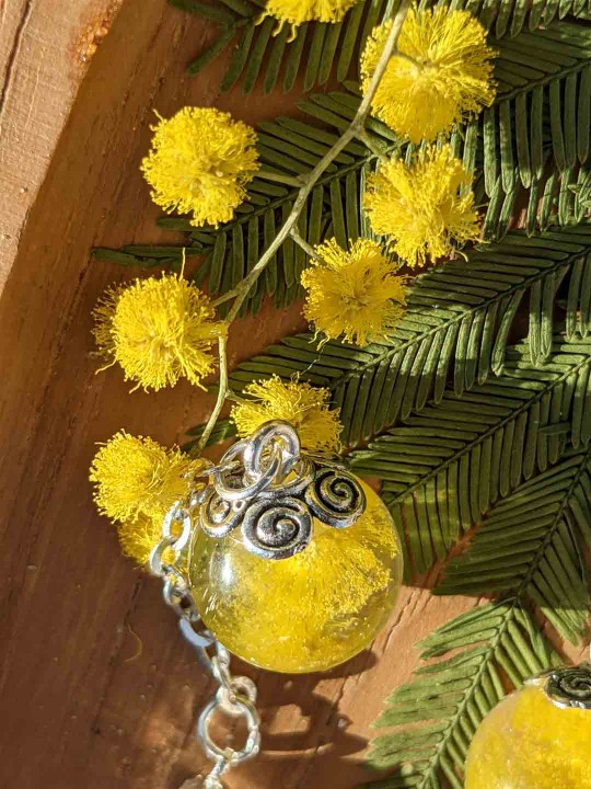 Boucles d'oreille en résine contenant du véritable mimosa