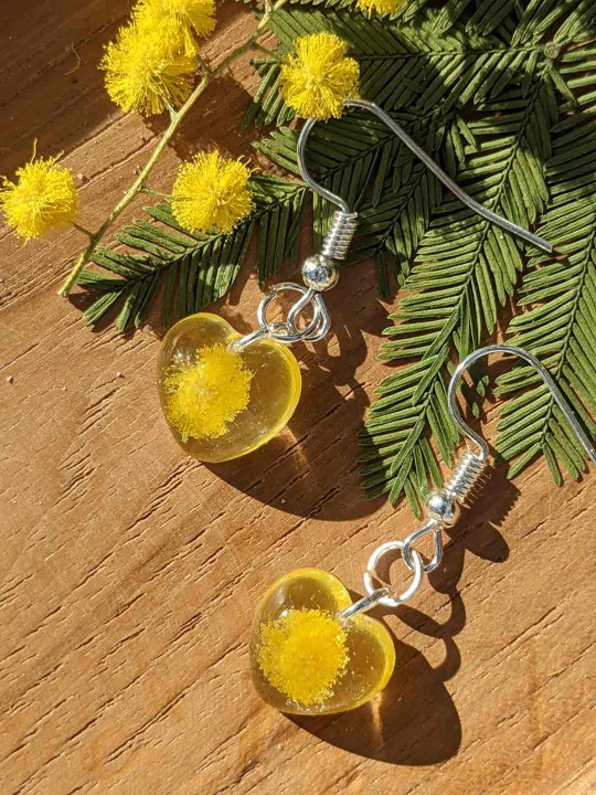 Boucles d'oreille en résine contenant du véritable mimosa