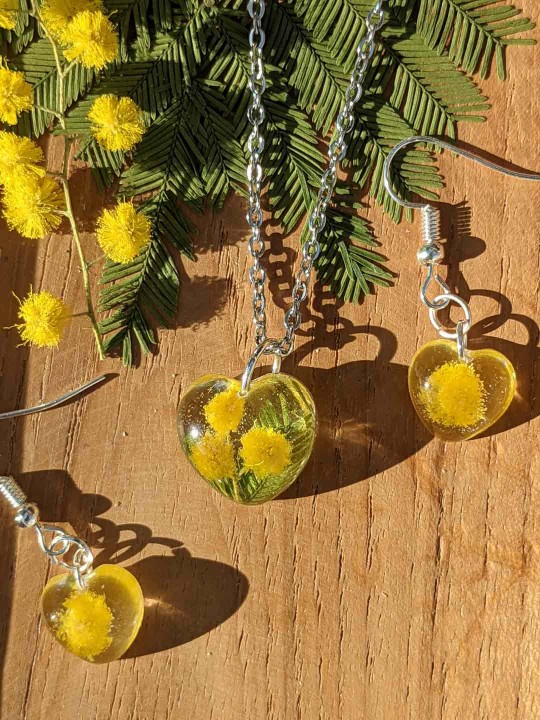 Boucles d'oreille en résine contenant du véritable mimosa