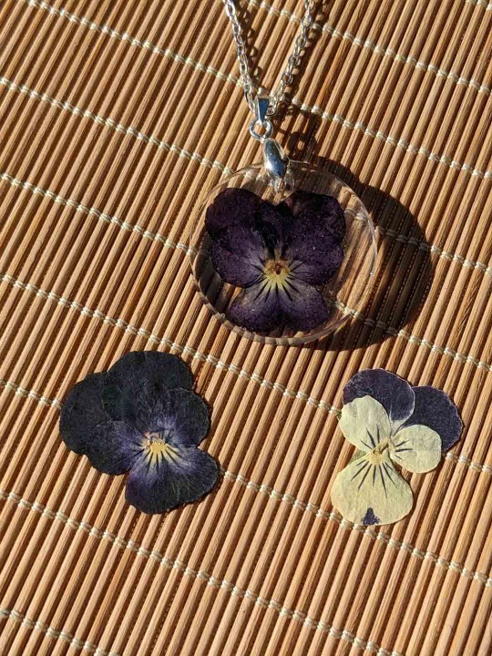 Collier en résine de véritable fleur séchée pensée