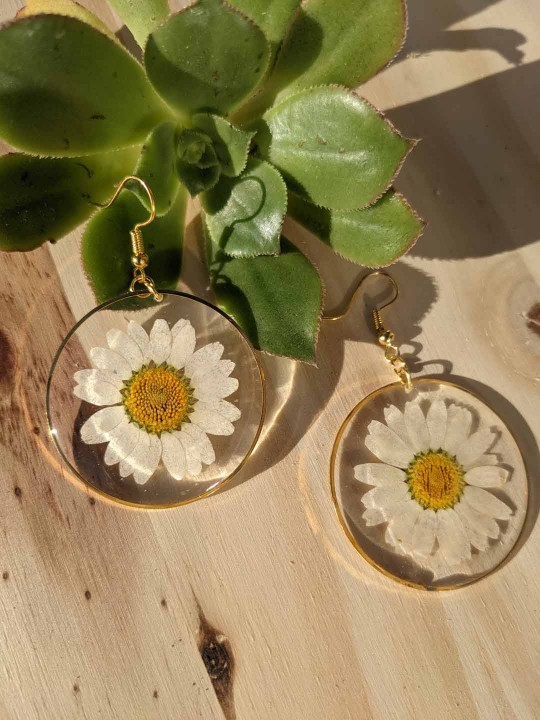 Boucles d'oreille en résine de véritable marguerite pressée blanche