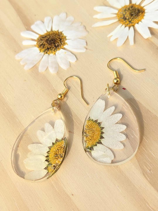 Boucles d'oreille en résine de véritable marguerite