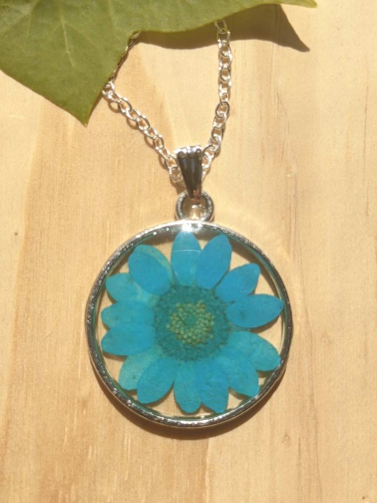 Collier rond en résine de véritable marguerite pressée bleue