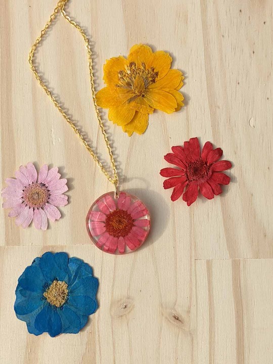 Collier rond en résine de véritable marguerite pressée rose