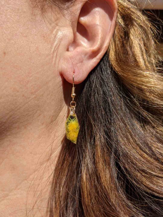 Boucles d'oreille en résine contenant du véritable mimosa