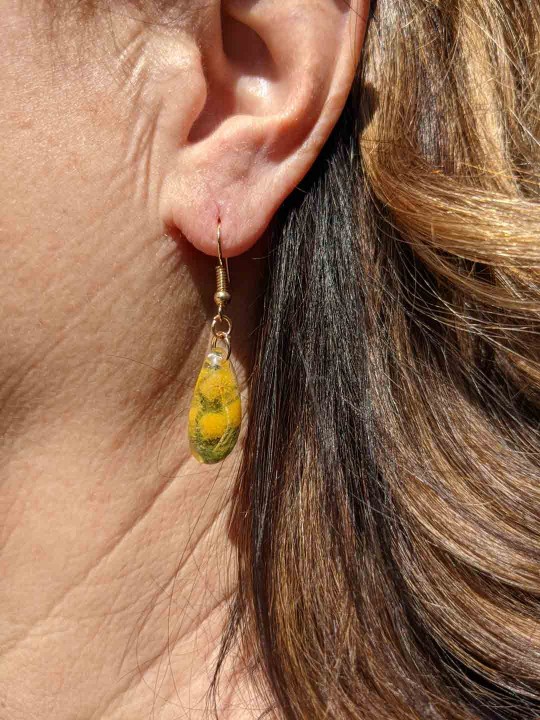 Boucles d'oreille en résine contenant du véritable mimosa