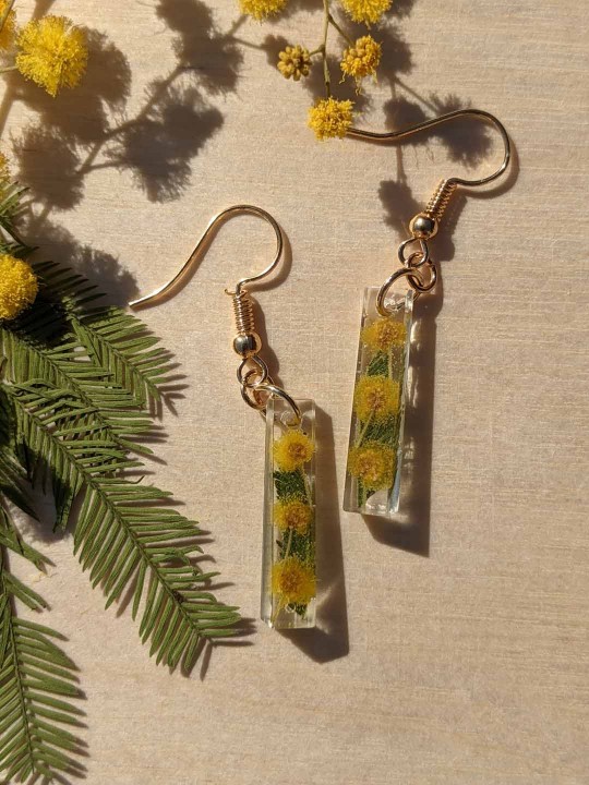 Boucles d'oreille en résine contenant du véritable mimosa