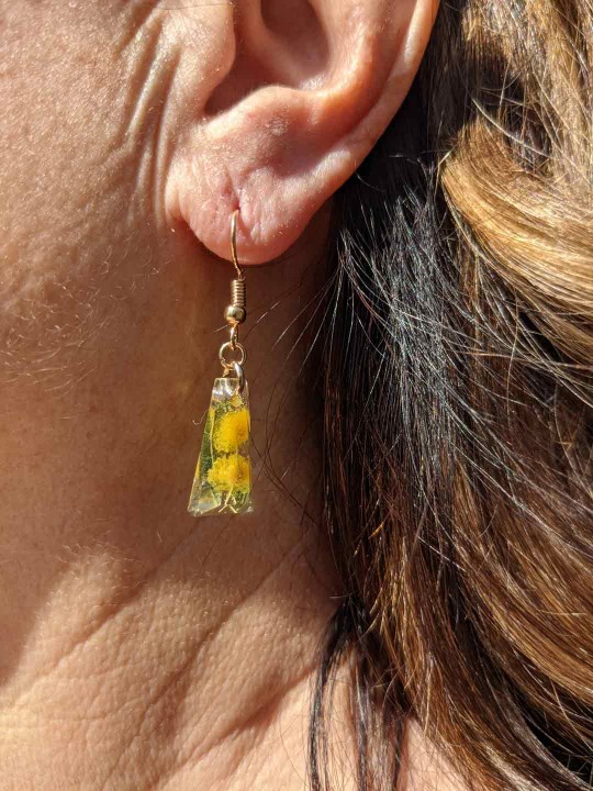 Boucles d'oreille en résine contenant du véritable mimosa