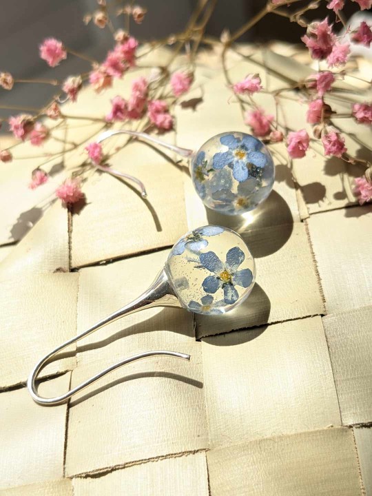 Boucles d'oreille en vrai fleurs de Myosotis