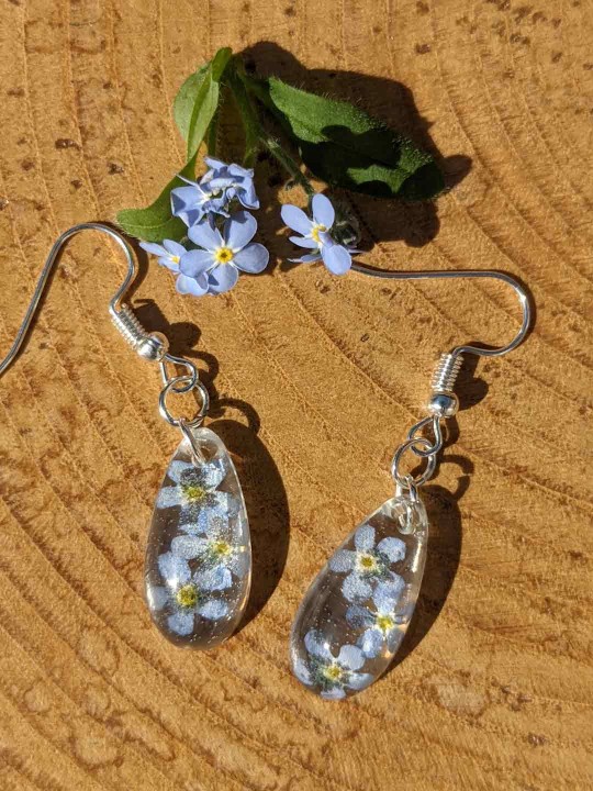 Boucles d'oreille en vrai fleurs de Myosotis