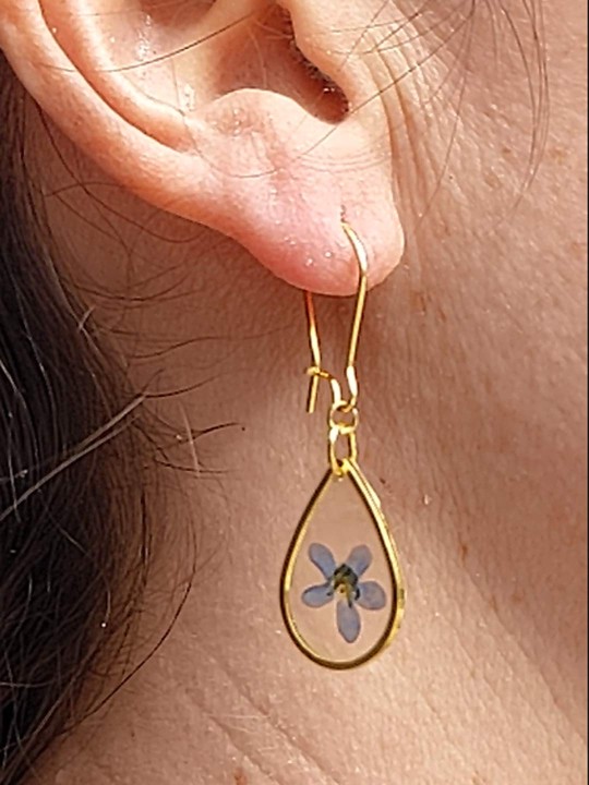 Boucles d'oreille goutte contenant une véritable fleur de Myosotis