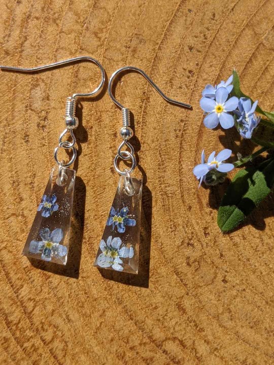 Boucles d'oreille en vrai fleurs de Myosotis