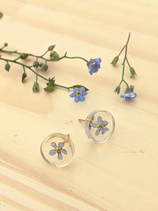 Boucles d'oreille puces en vrai fleurs de Myosotis