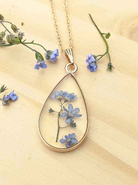 Collier goutte contenant de véritables fleurs de Myosotis