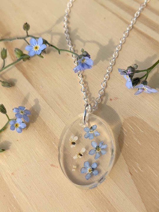 Collier ovale en résine contenant de véritables fleurs de Myosotis bleu