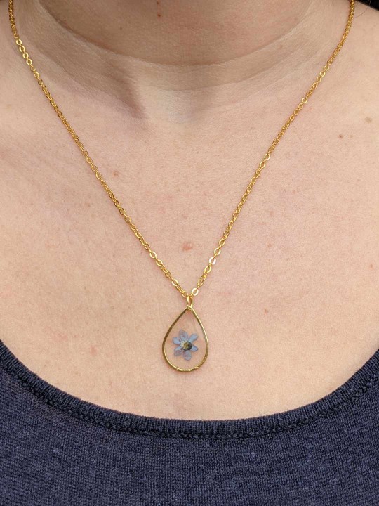 Collier goutte contenant une véritable fleur de Myosotis