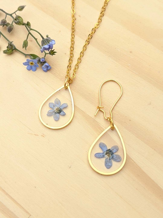 Boucles d'oreille goutte contenant une véritable fleur de Myosotis