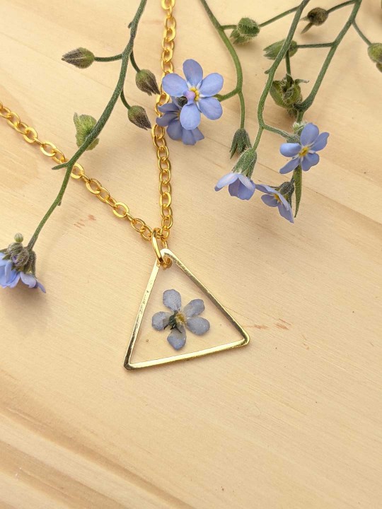 Collier triangle contenant une véritable fleur de Myosotis