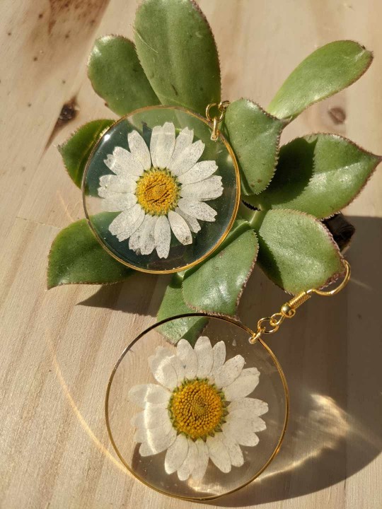 Boucles d'oreille en résine de véritable marguerite pressée blanche