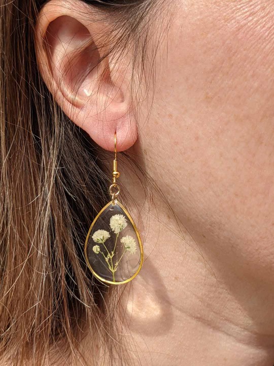 Boucles d'oreille goutte contenant une véritable fleur de gypsophile