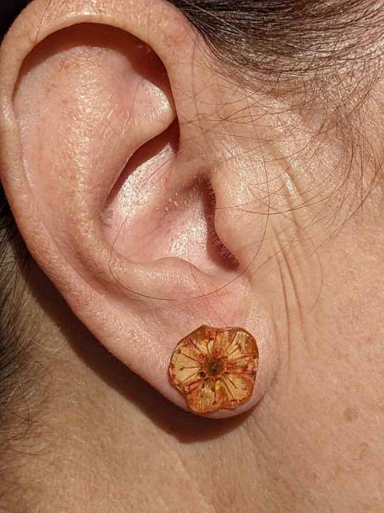 Boucles d'oreille puces de véritable fleur abricot