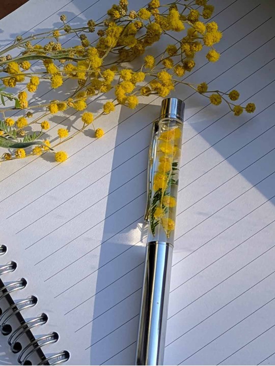 Stylo fleur immergée mimosa